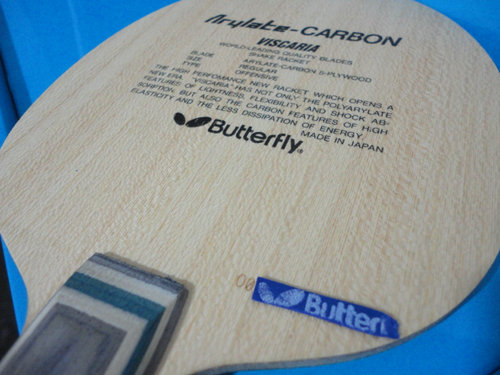 �л�˫������VIS