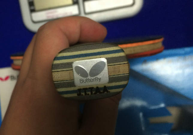 ��һ�������ĵװ���׽���������viscaria�ͺ���t64��������