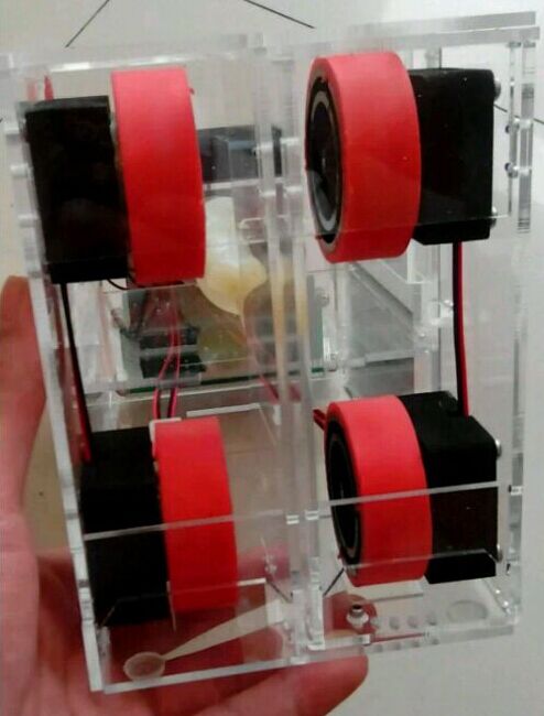 [ԭ��]��ֻ�������ε�����˫ͷ�����