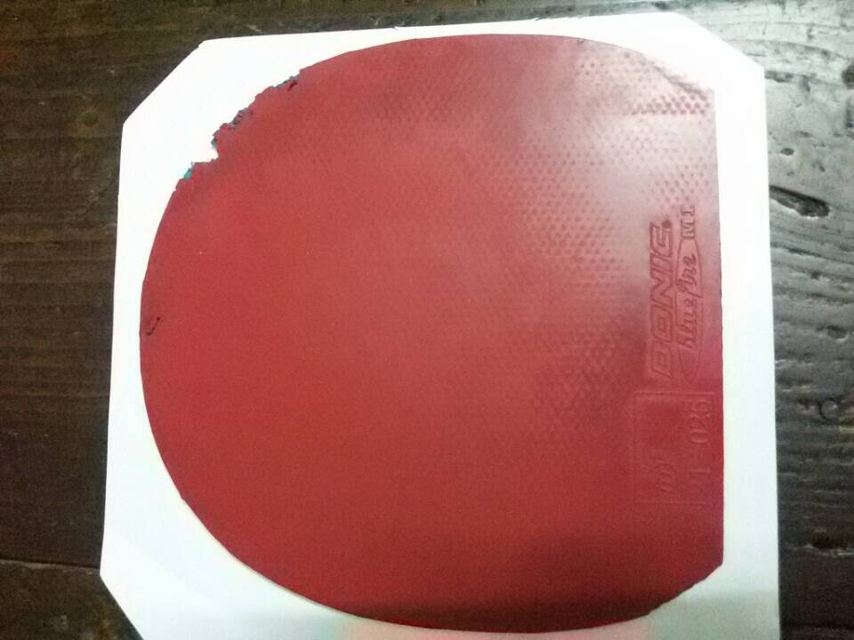 ��98����3���׽�������Ψ�Ѿ�Ӣ�����������M1��������ZAP��