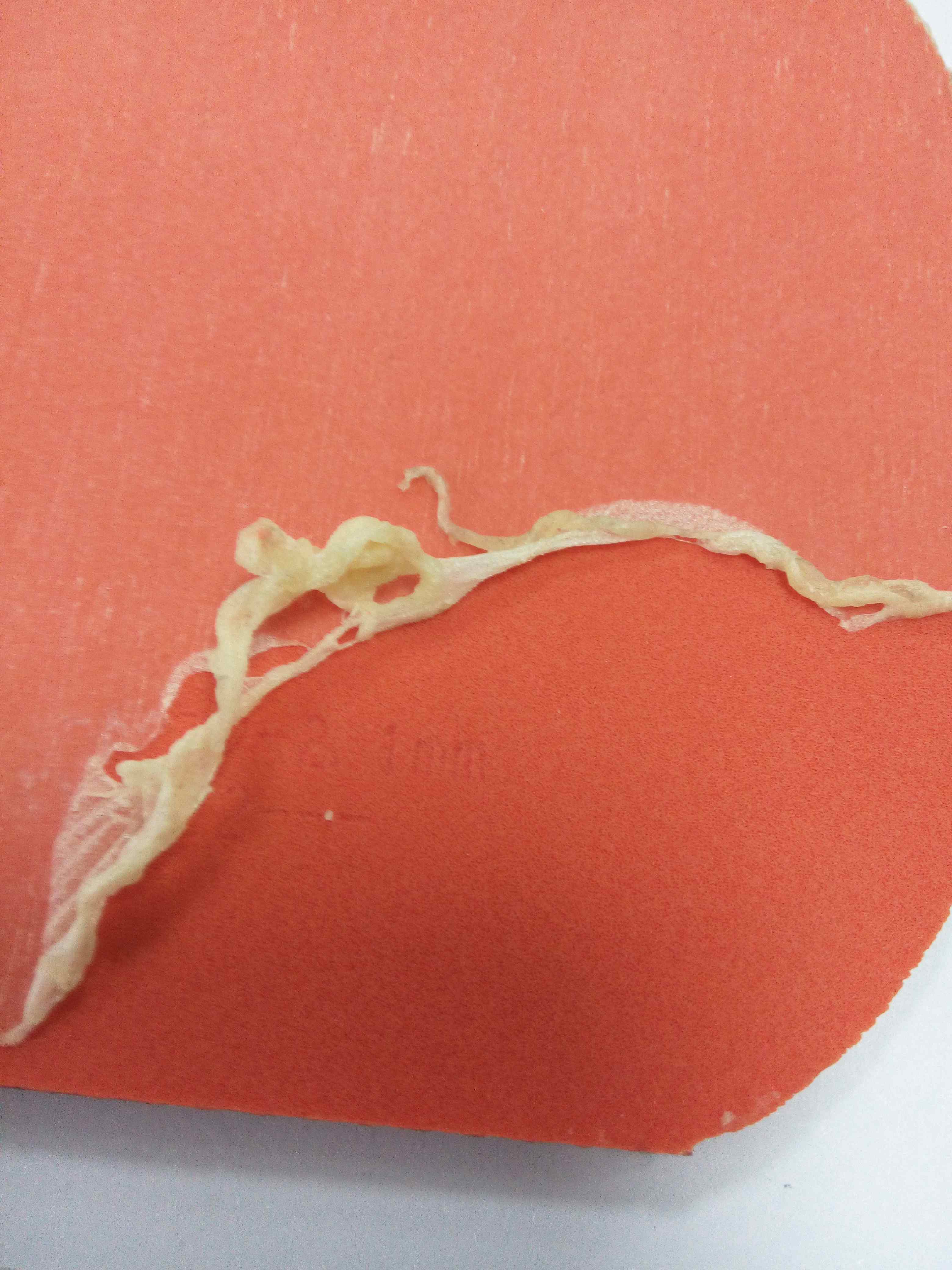 [ԭ��]��ɫT05���˼��θĺ�ʧ�ܣ��ֿ����ۣ����ڳ���ˮ�����ϵģ�ˢ���޻�210Ԫ����