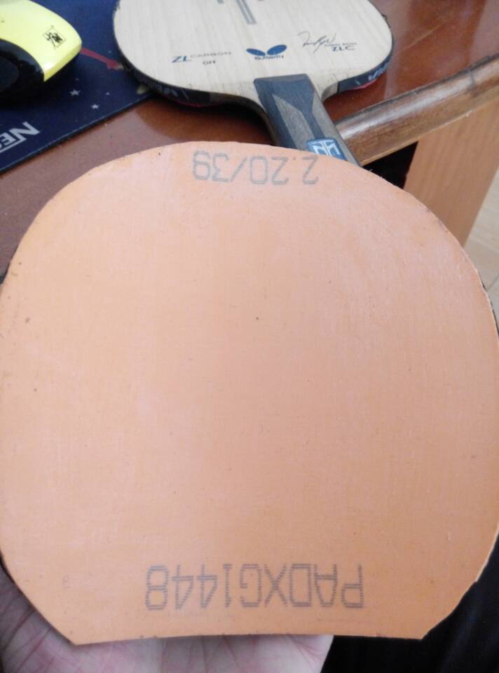 ucSnOg01.jpg