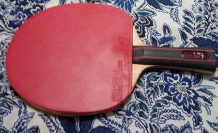 �Ʊ���SK7 FL ������350����