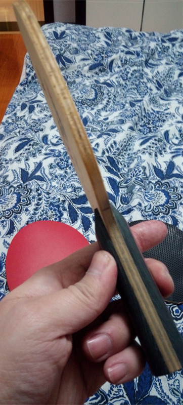 �Ʊ���SK7 FL ������350����