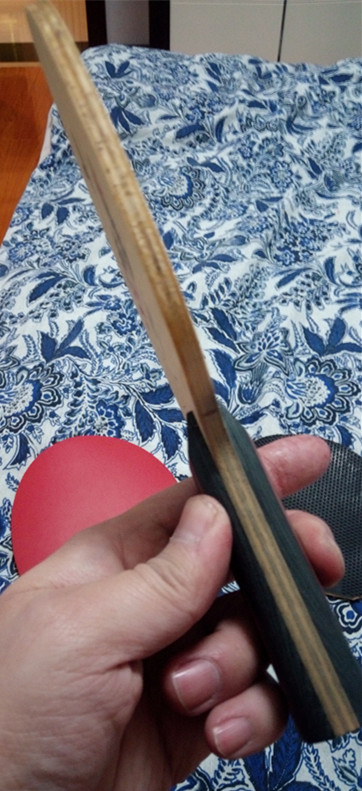 �Ʊ���SK7 FL ������350����