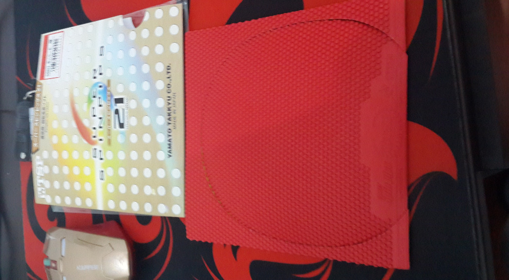 ��  ʡ��  TSP����