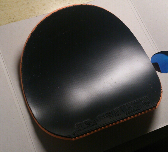 �Ϳ� FXP ����JO �տ�