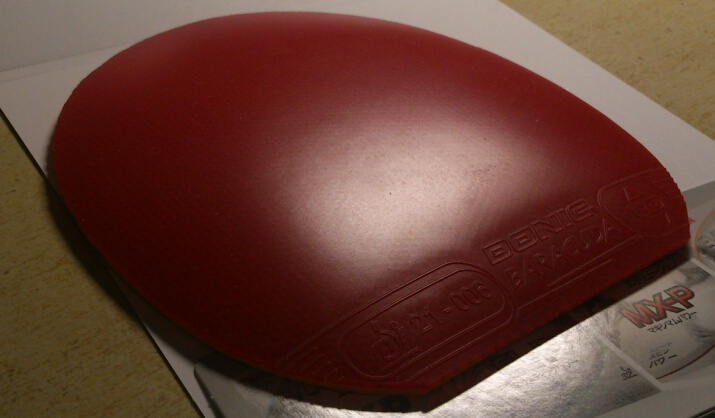 �Ϳ� FXP ����JO �տ�