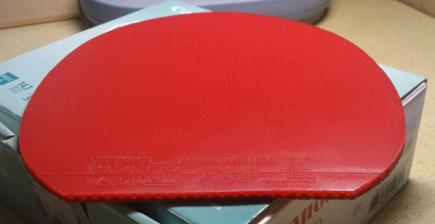 �Ϳ� FXP ����JO �տ�