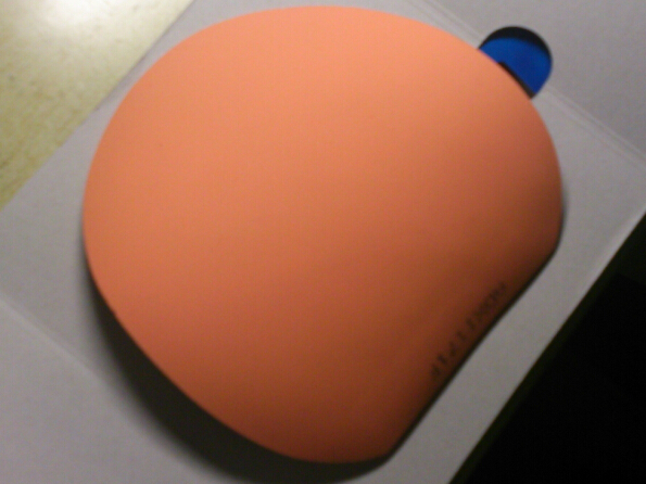 �Ϳ� FXP ����JO �տ�