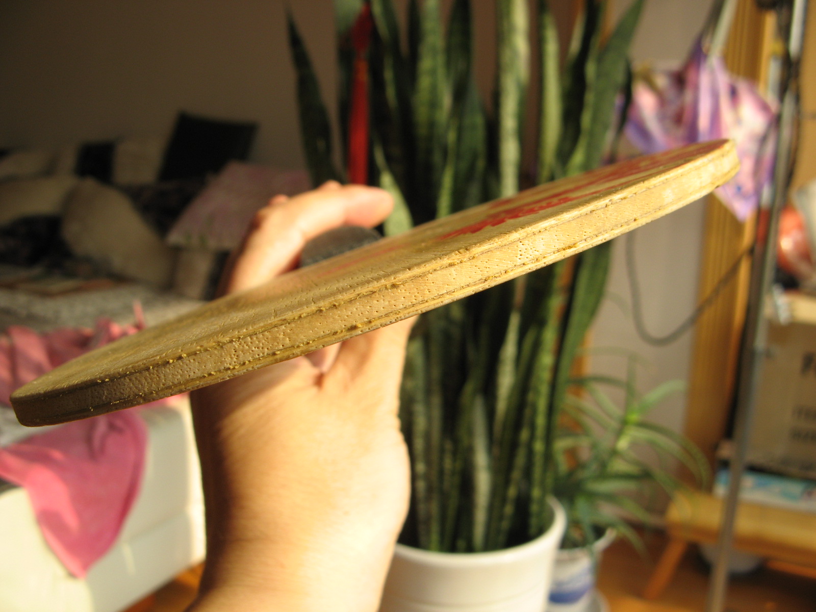 82����ʫ�� �޻�ʡ��