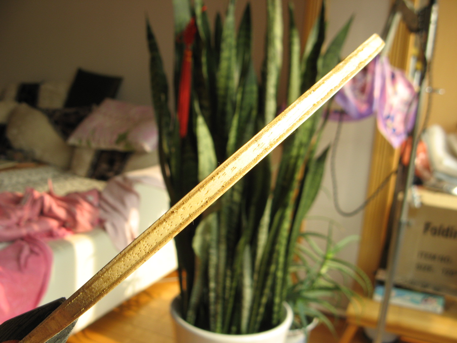 82����ʫ�� �޻�ʡ��