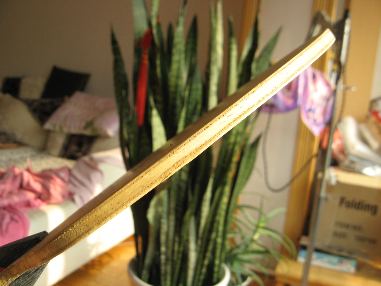 82����ʫ�� �޻�ʡ��