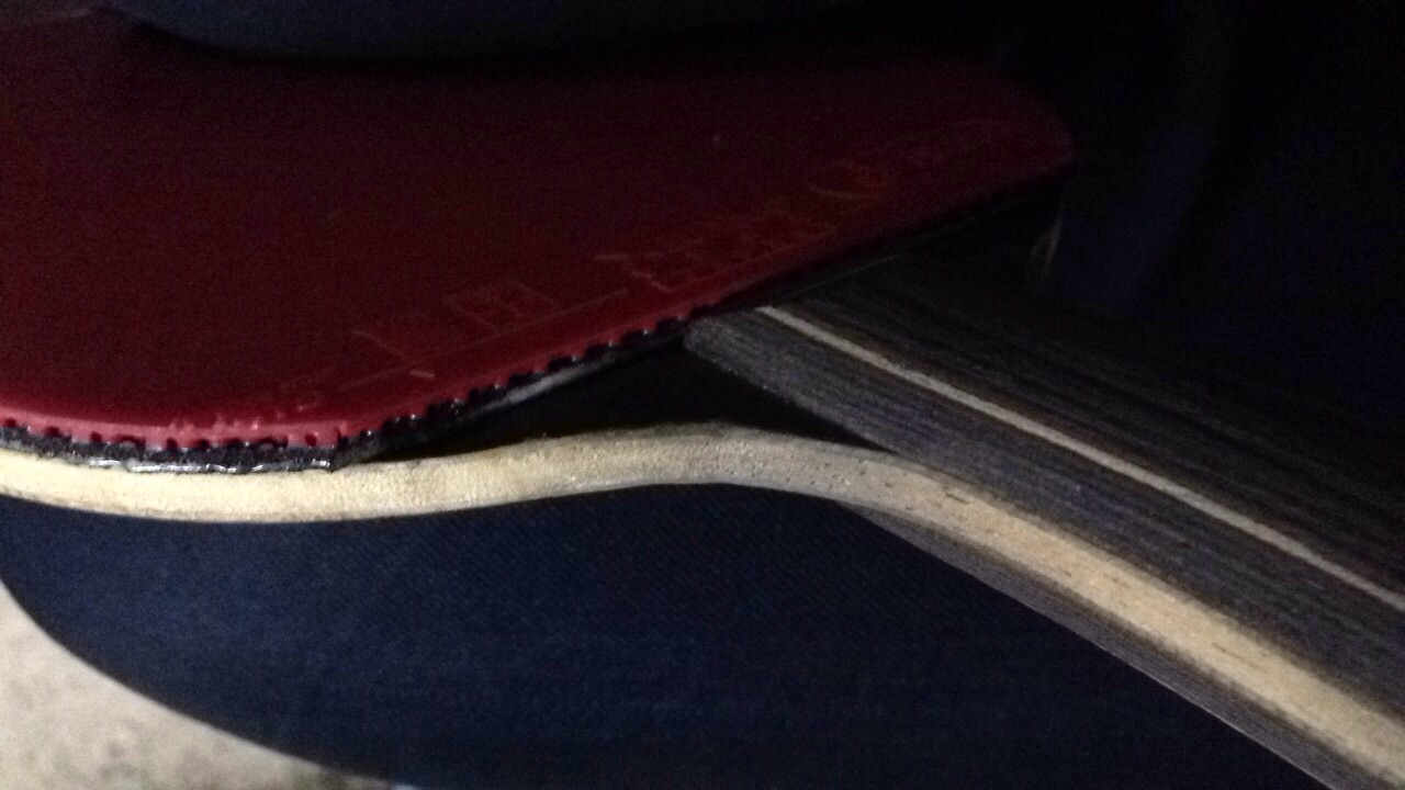 �����ѳ��л�FL����̴5��!!!!!!!