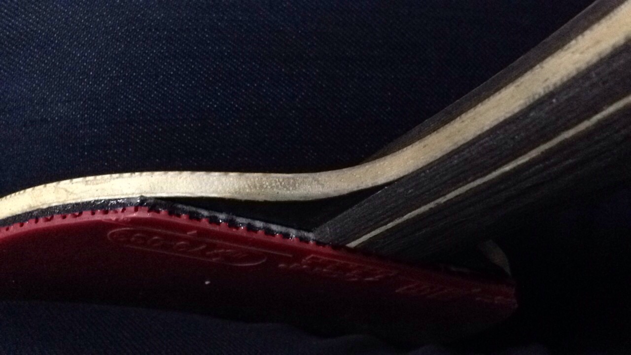 �����ѳ��л�FL����̴5��!!!!!!!