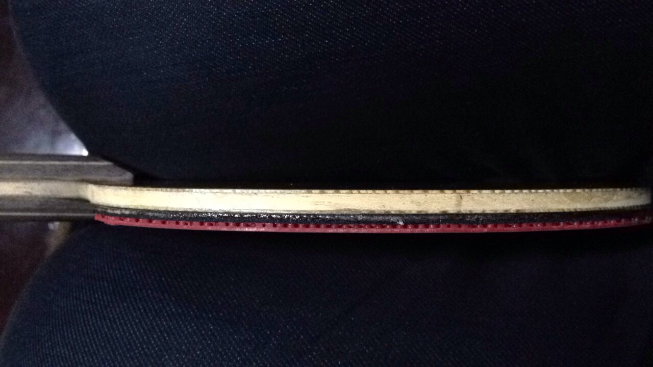 �����ѳ��л�FL����̴5��!!!!!!!