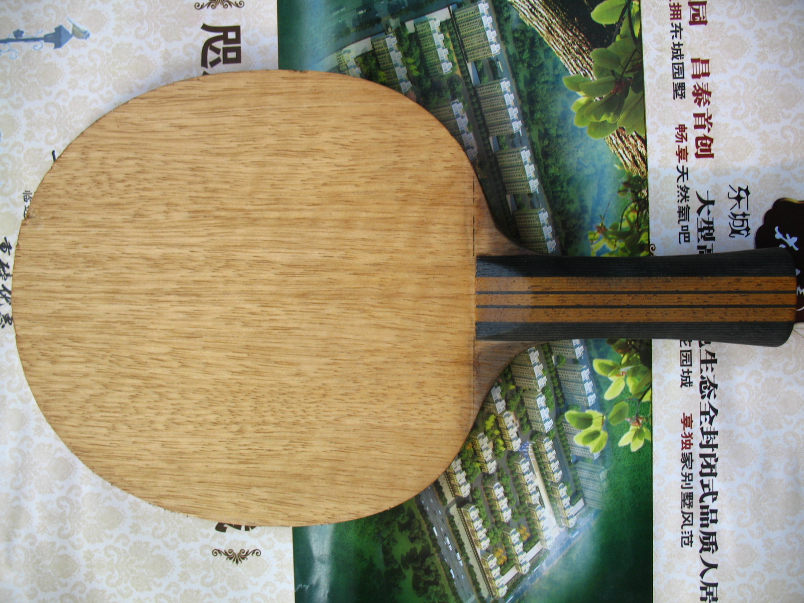 ��������ľ����FL�� 420����