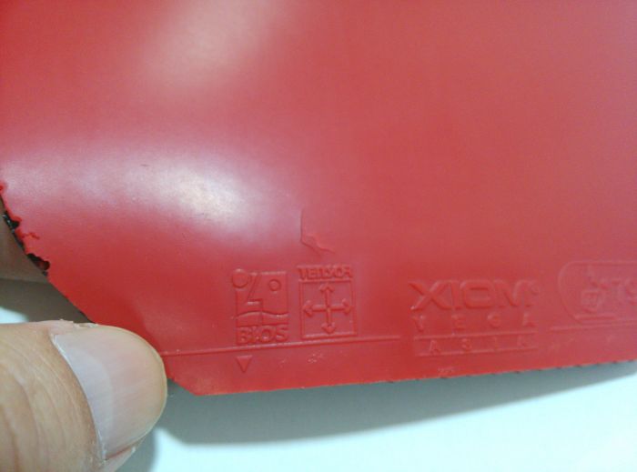 �����ͺ�V