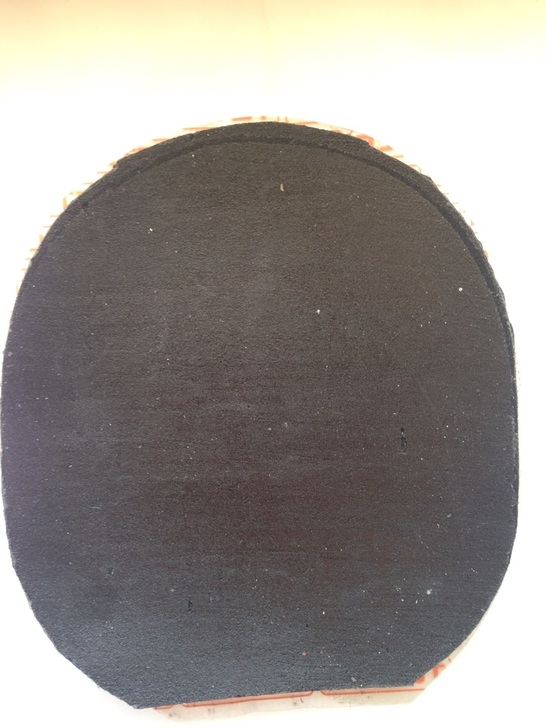  XIOM  V