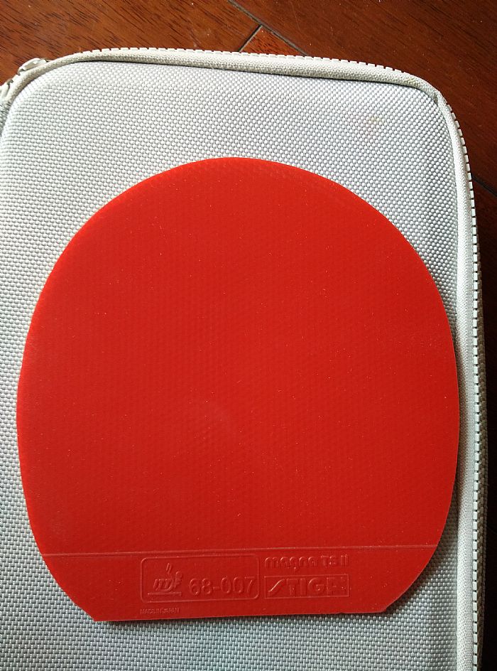 ����Ծ���Ե�STIGA TS2