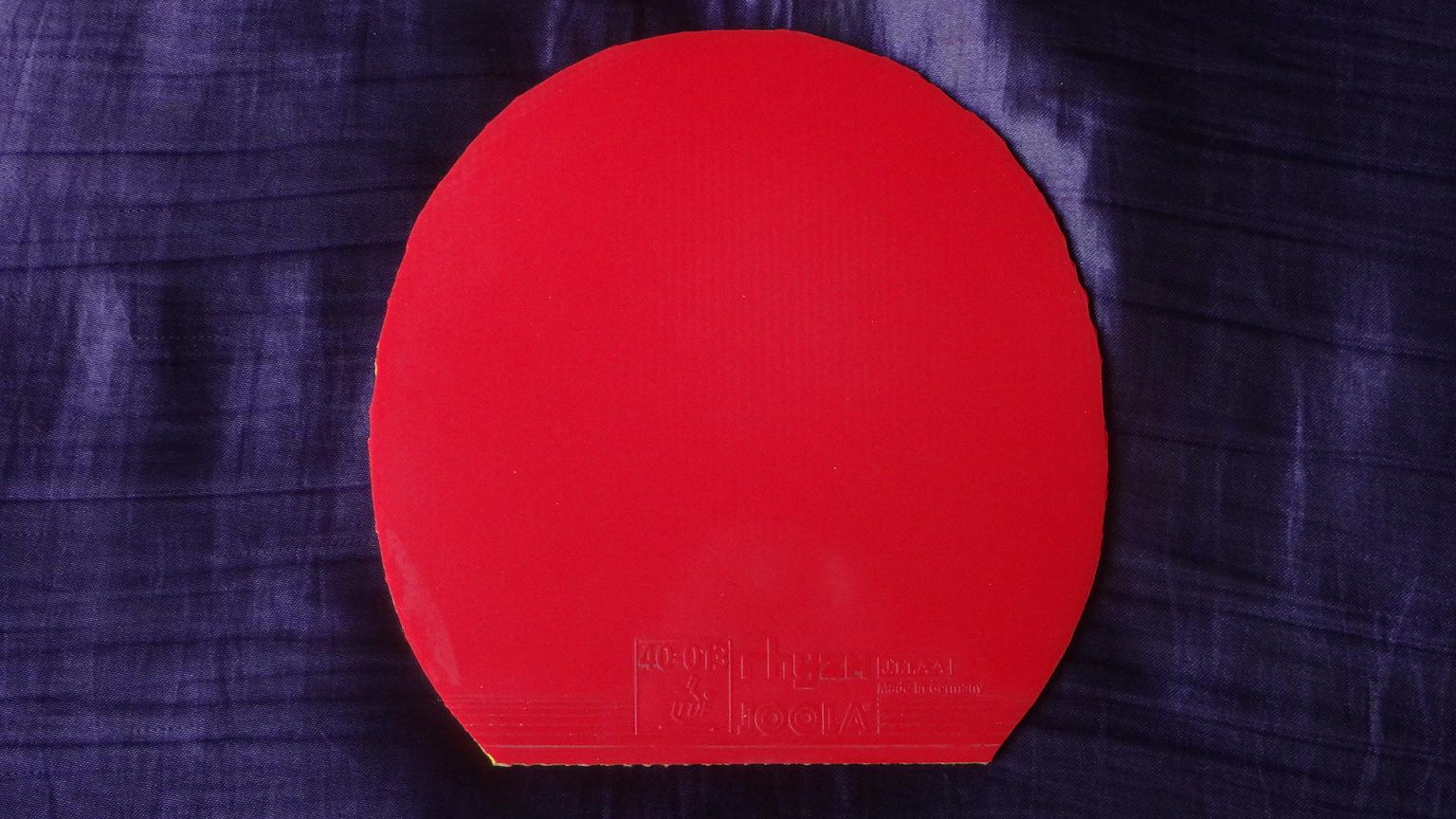 ����������  �׽���