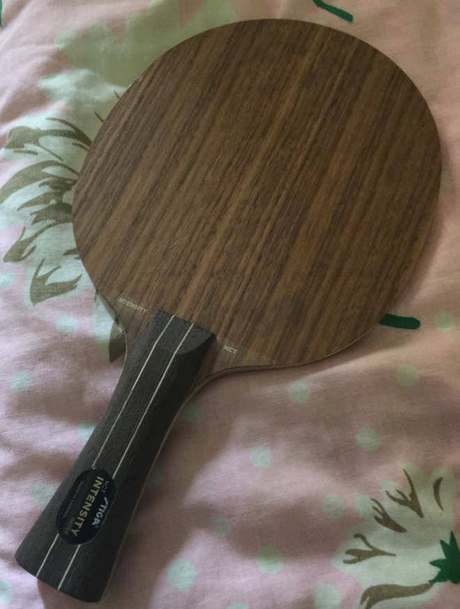 ȫ�³�ɫSTIGA��ǿ��ľ��xiomŷ����5��V