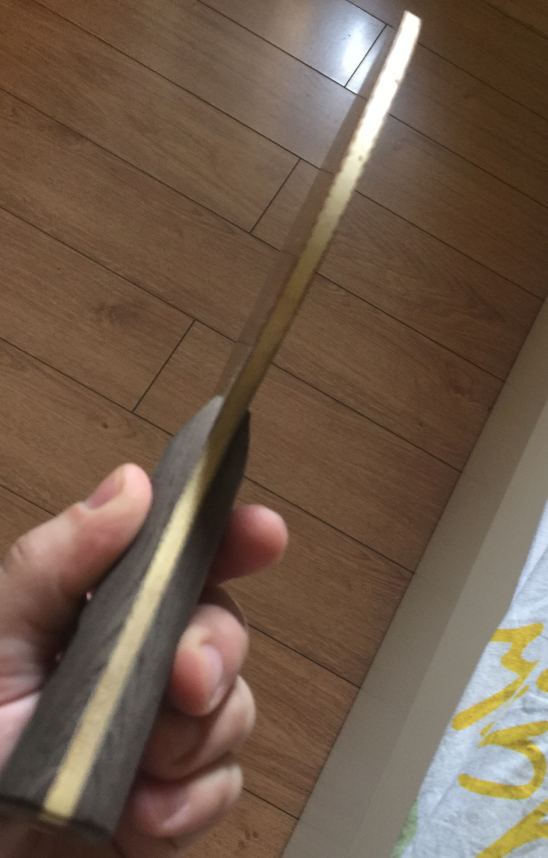 ȫ�³�ɫSTIGA��ǿ��ľ��xiomŷ����5��V