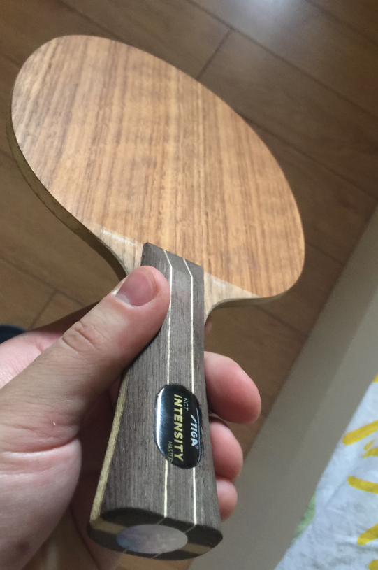 ȫ�³�ɫSTIGA��ǿ��ľ��xiomŷ����5��V