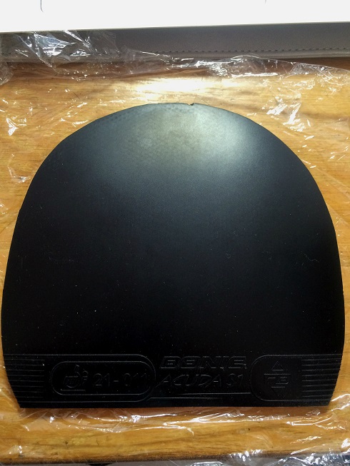 ������ó�ɫ���ֽ�Ƥ�����׿ǹ��񣬶����s1������˽�x1