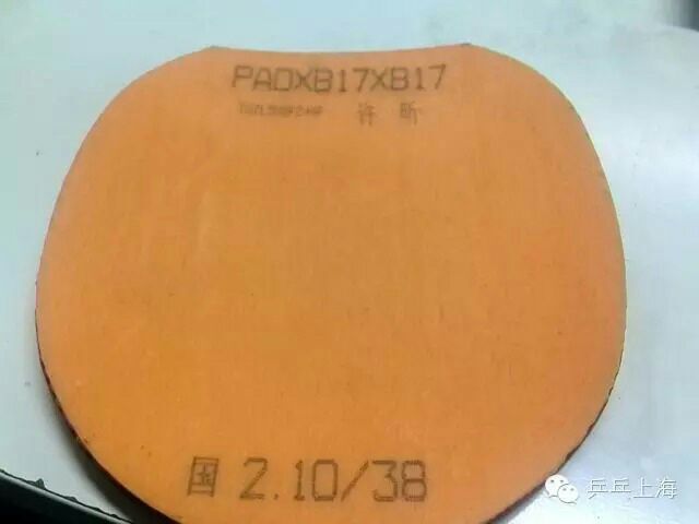 ������꿶���������