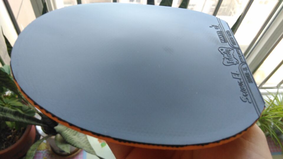 ******** �� ����ս���   *****   ��F1     ************