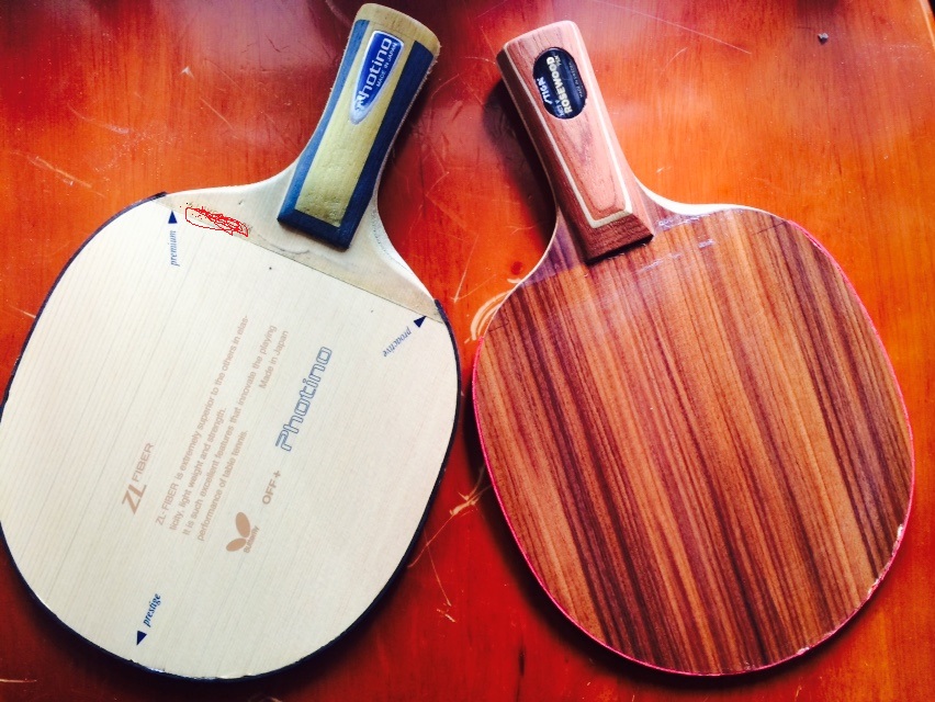 ֱ�ĺ������