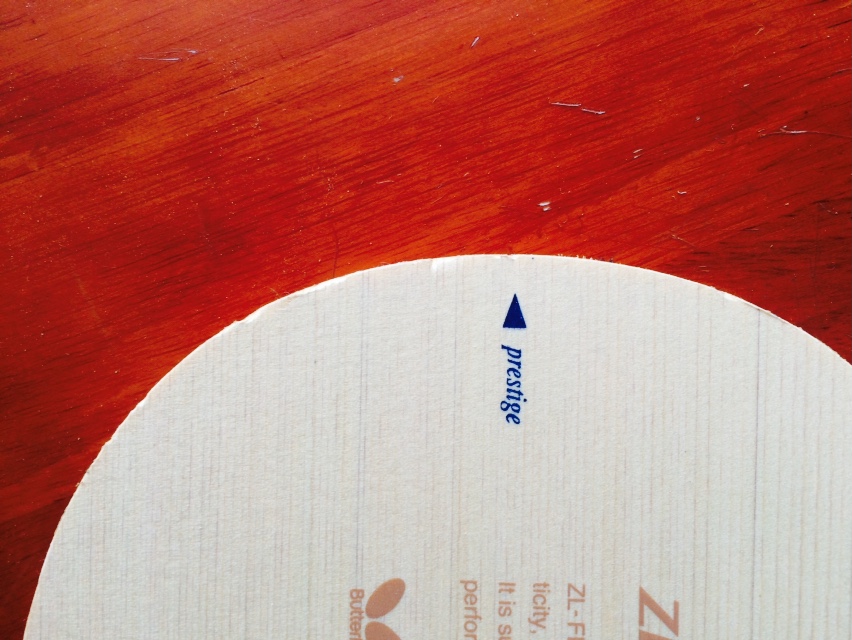 ֱ�ĺ������