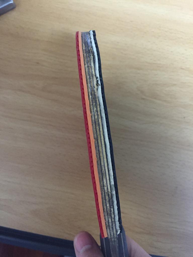 ����˹�ٿ���̴��800��