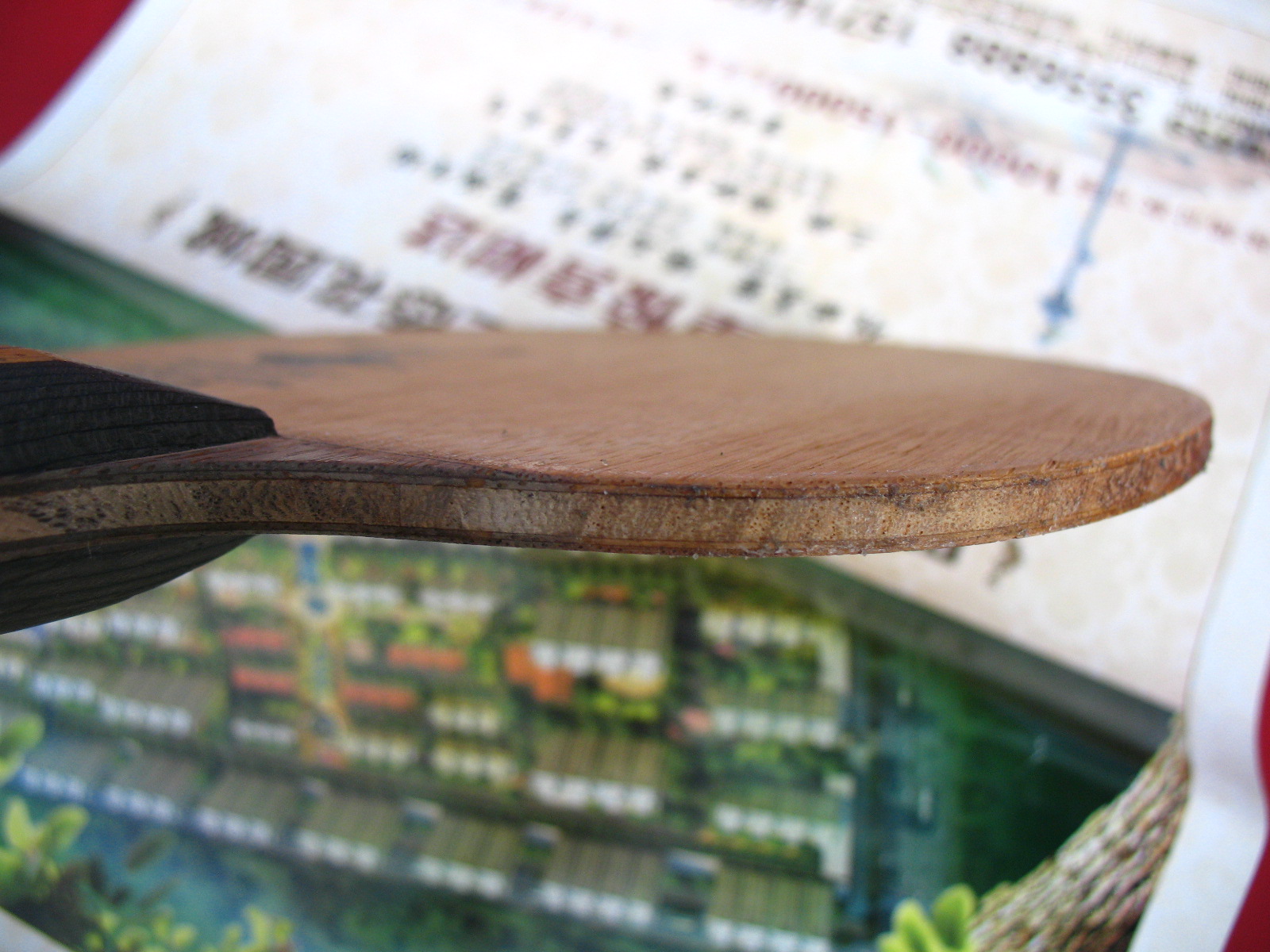 ��������ľ���� 370����