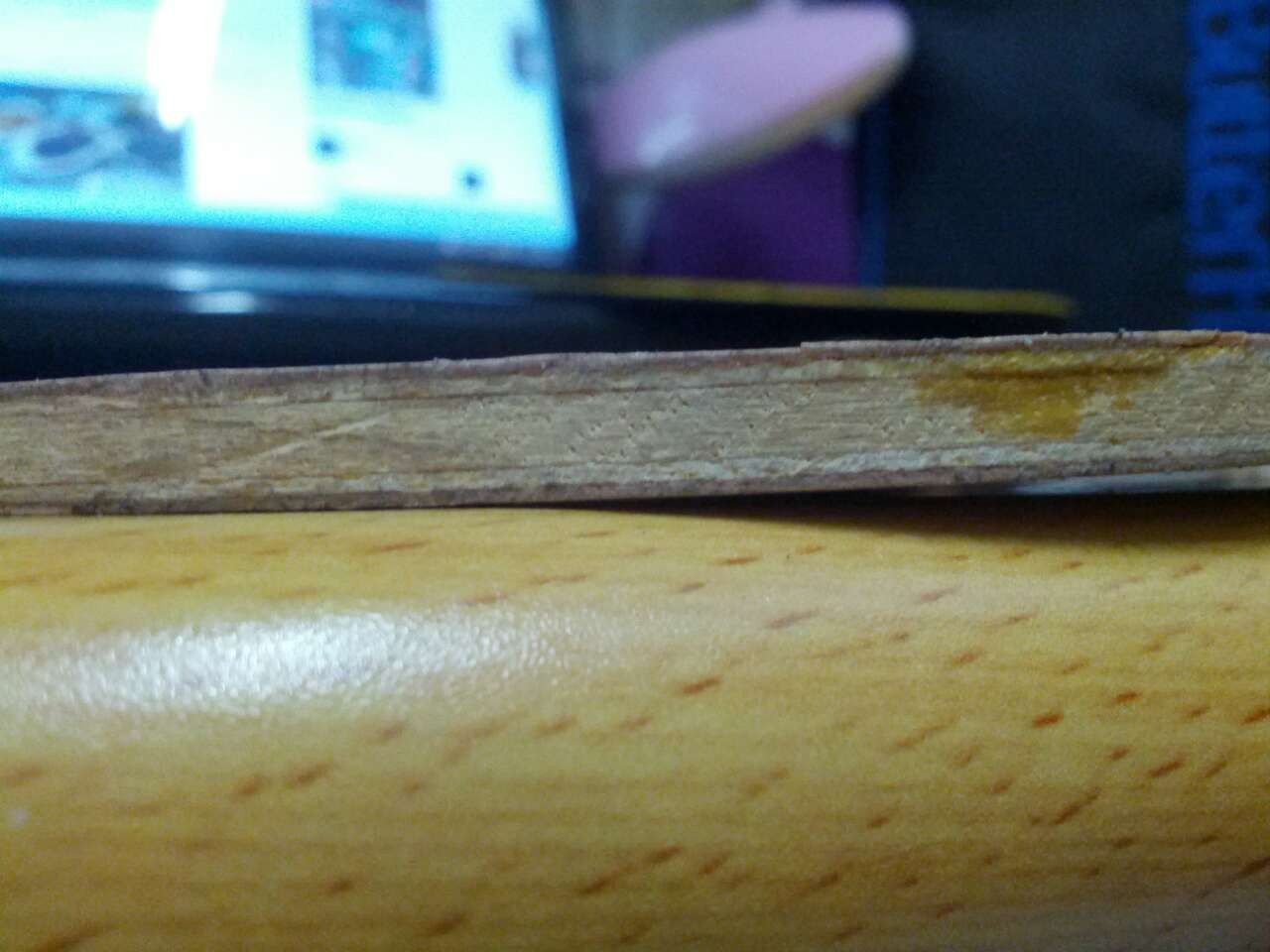 ��������FL