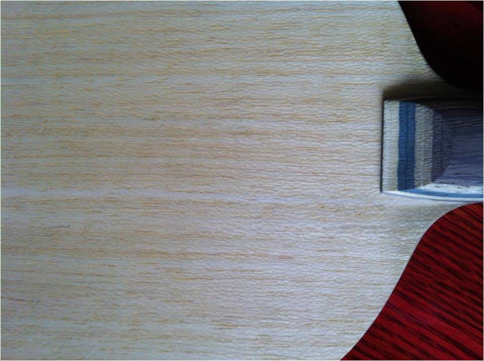 O���л�˫��С����VIS��9.5�£���ԭ��