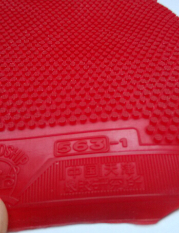 �����563-1��ͦ��1.5�ߵ����࣬��563-1�������㺣��