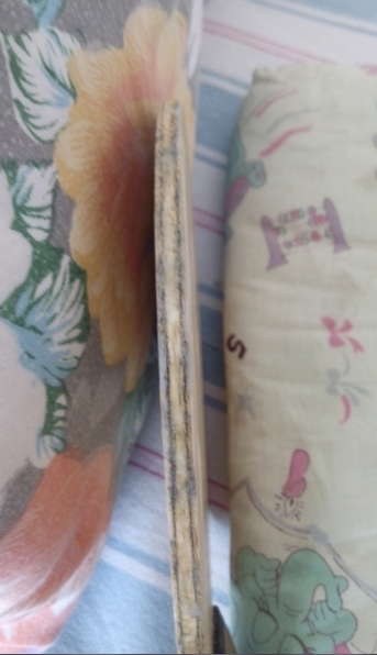 Ů����Ȩ��������zlc