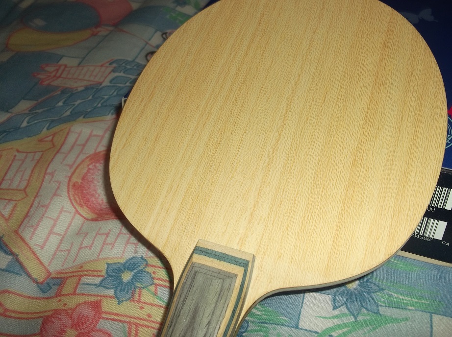 ����������� ��עVIS ��ʤ�л����