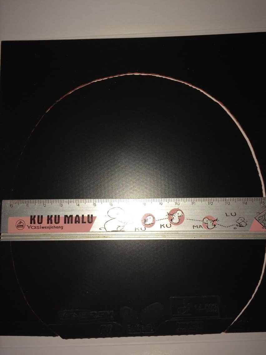 �ߴ�ͼ����ʵ���׼�̶ȳߣ���ë��õ�������