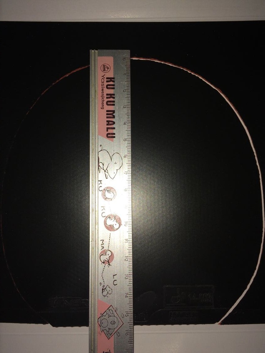 �ߴ�ͼ����ʵ���׼�̶ȳߣ���ë��õ�������