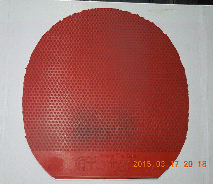 ������2���׽�������