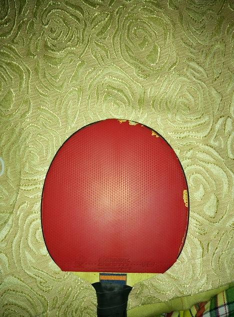 �� �ż̿� ZLC ST  ���������� ����7�����Ͷ����F1�죬NEO���3�� 39�ȣ� ��T05�ڻ�T64FX�졣��������������������������������