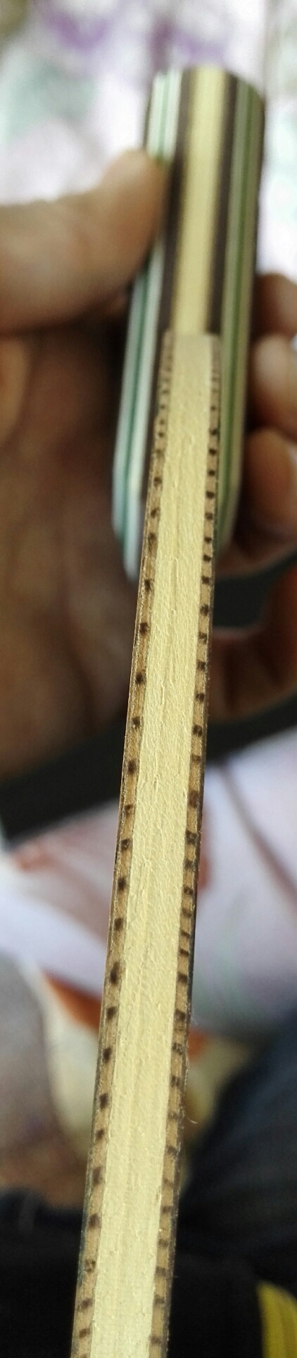 ��ŷ��˹�ٿ�������������