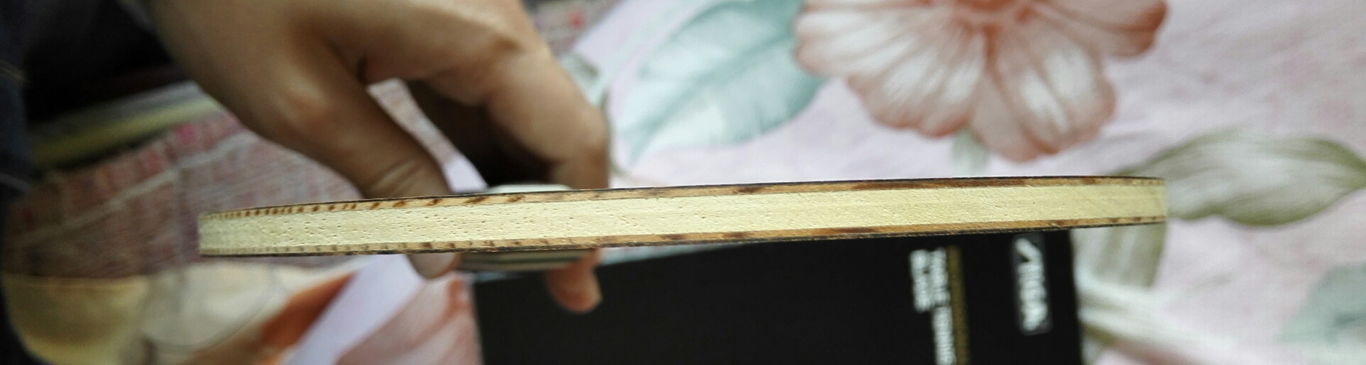 ��ŷ��˹�ٿ�������������