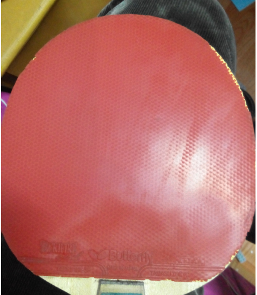 ������ĳ�ɫ�ϺõĹ��񡢰���470����ճ�Ժ�����ϻ�����ɫ�õ�05