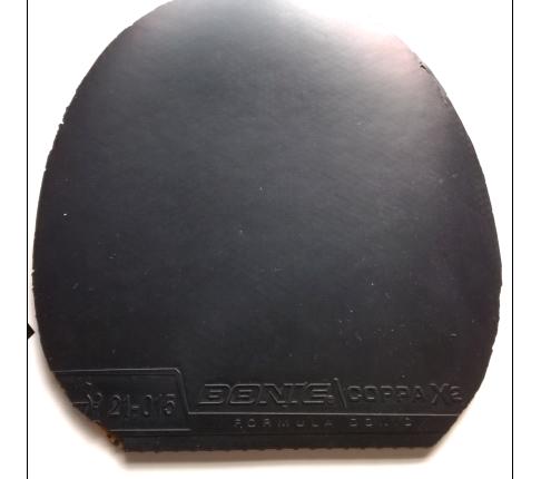 �������coppa-x2��729���⣬��������2��