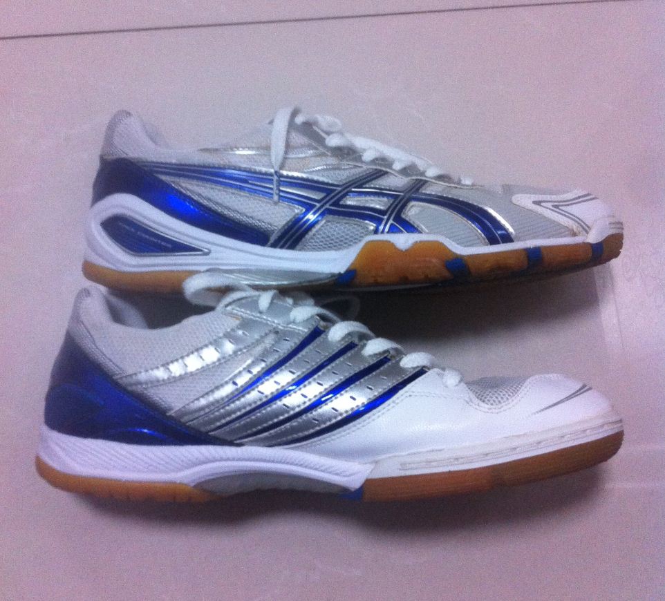 ASICS  ˹  TPA 329  43.5  510 + nike 43 300 