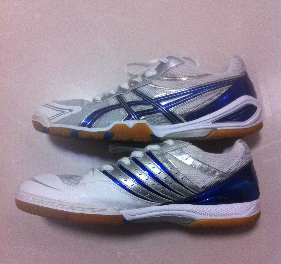 ASICS  ˹  TPA 329  43.5  510 + nike 43 300 